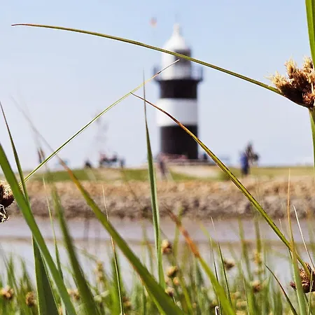 Hans Albers 2 Дом отдыха Времен