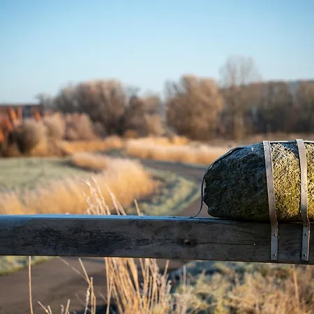 Hans Albers 2 Дом отдыха