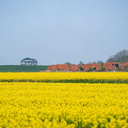 Hans Albers 2 Дом отдыха *